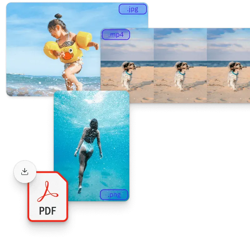Beach photos and videos exported as JPG, MP4, and PNG